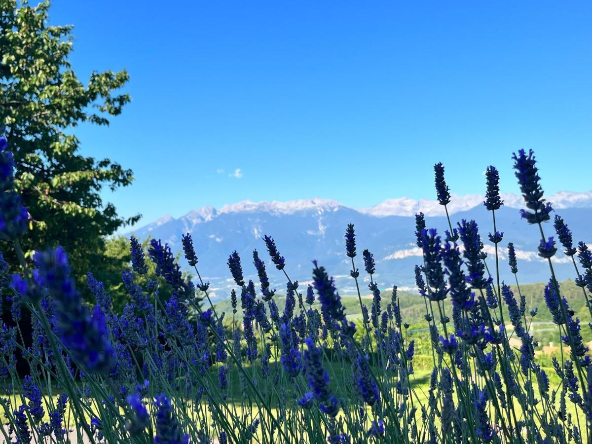 Appartamento Ciasa Erica - Val Di Non Predaia Esterno foto