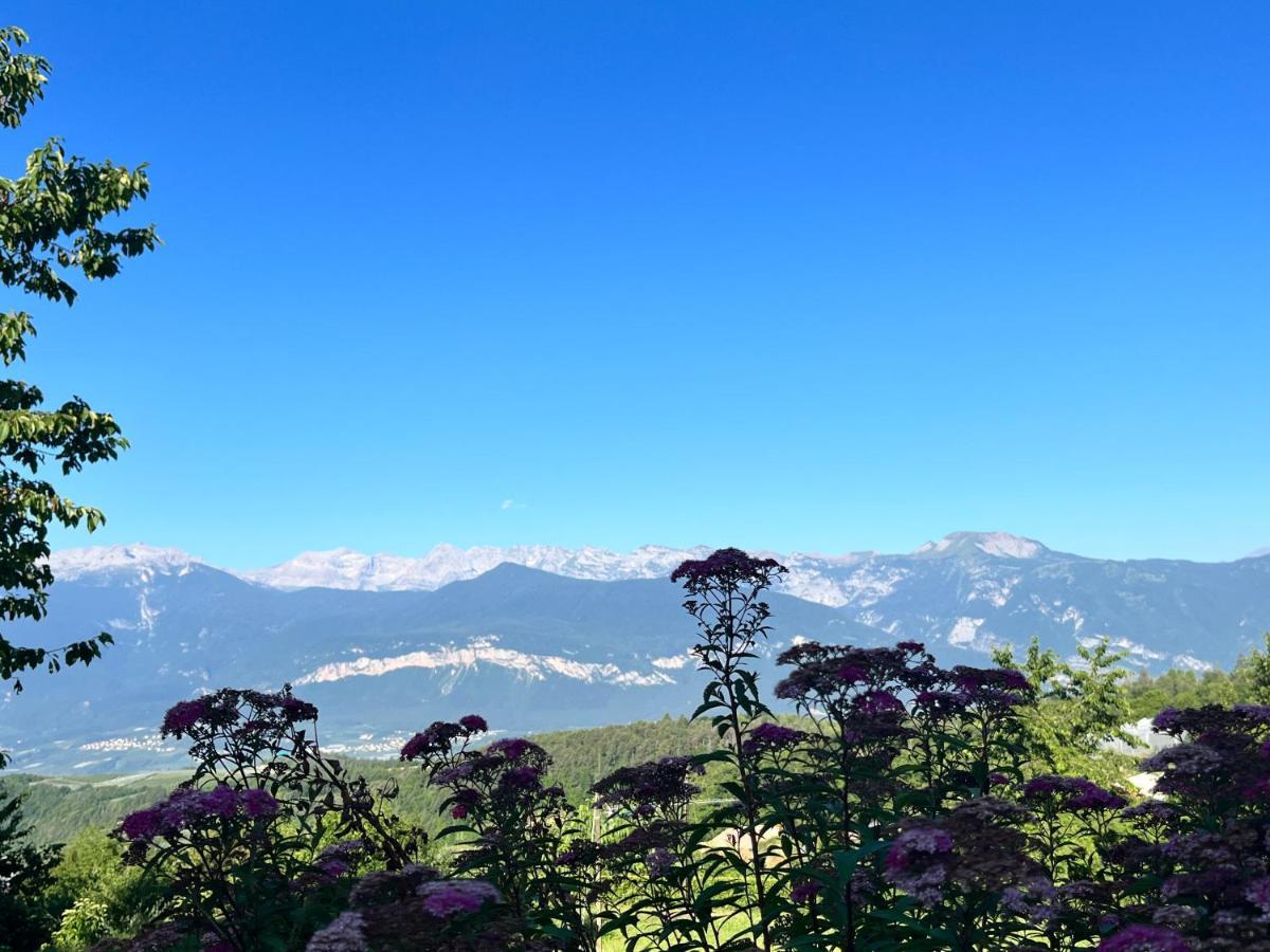Appartamento Ciasa Erica - Val Di Non Predaia Esterno foto