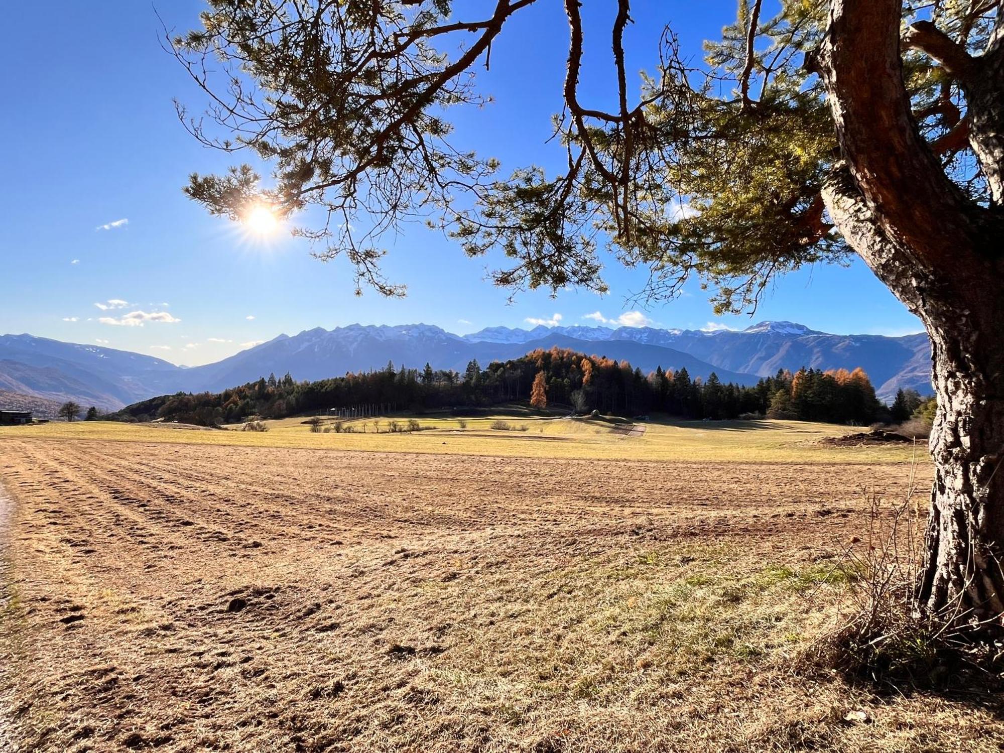 Appartamento Ciasa Erica - Val Di Non Predaia Esterno foto