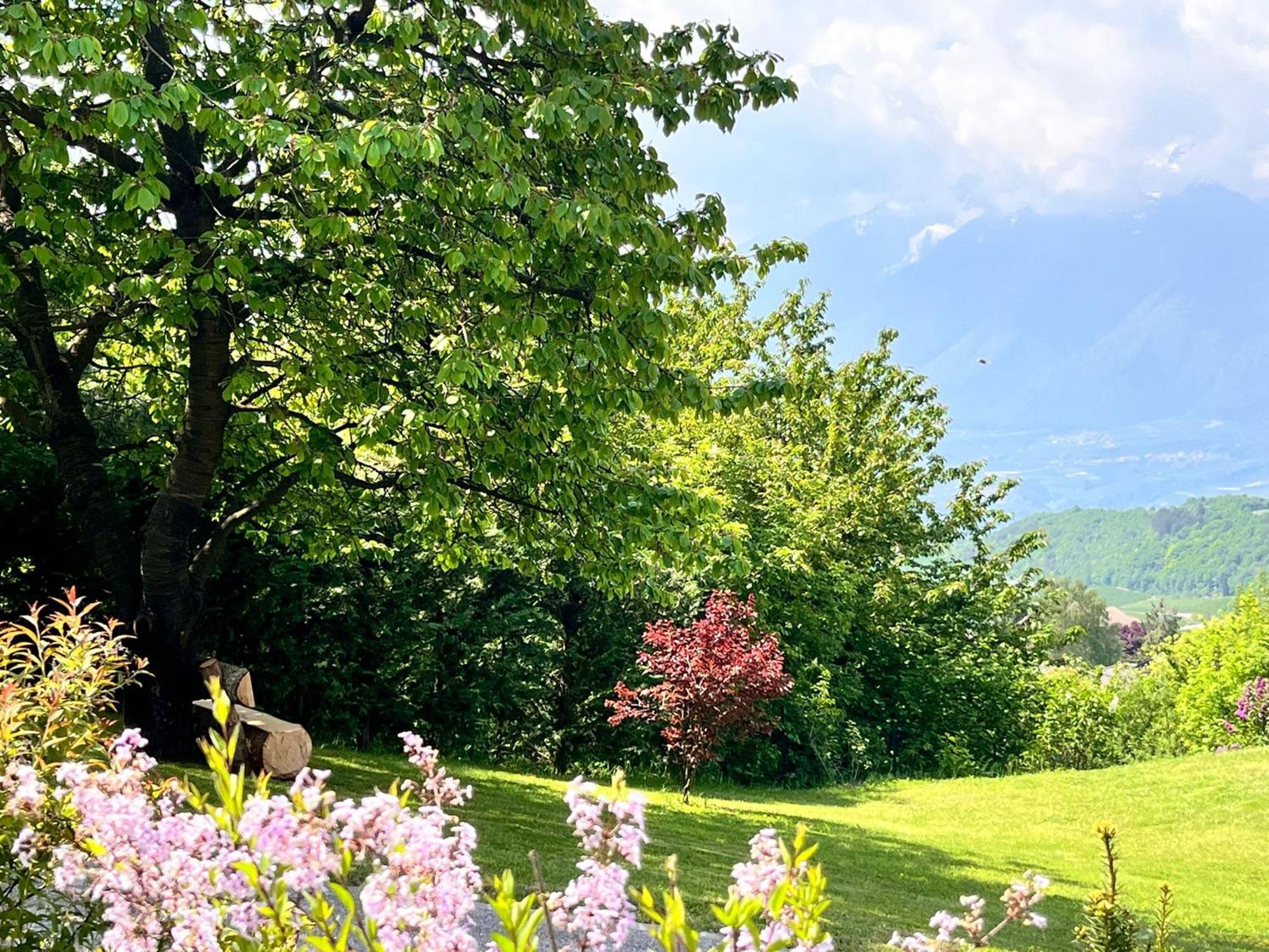 Appartamento Ciasa Erica - Val Di Non Predaia Esterno foto