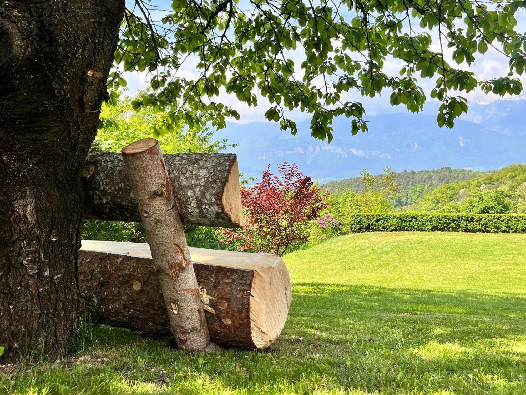 Appartamento Ciasa Erica - Val Di Non Predaia Esterno foto