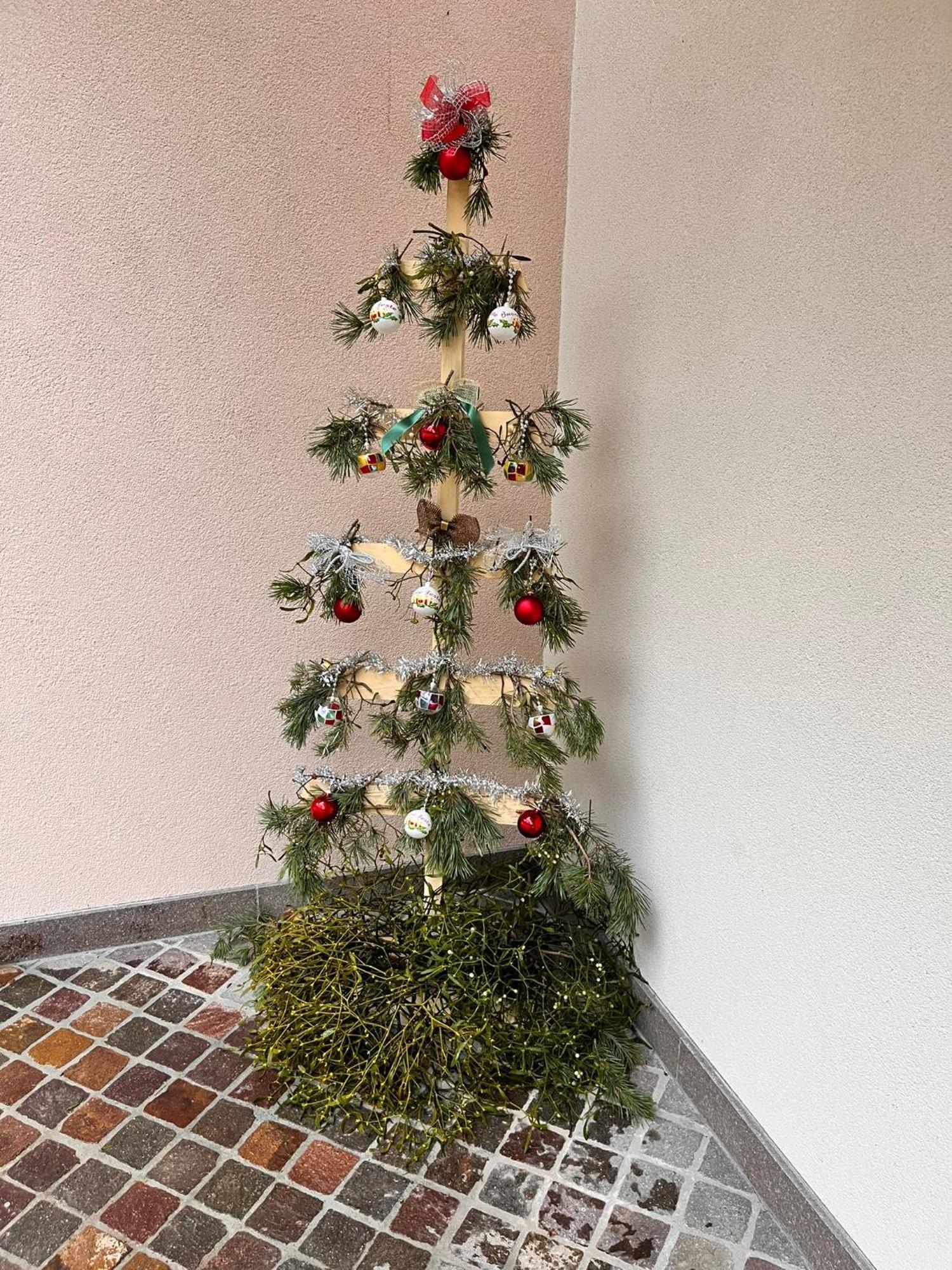 Appartamento Ciasa Erica - Val Di Non Predaia Esterno foto