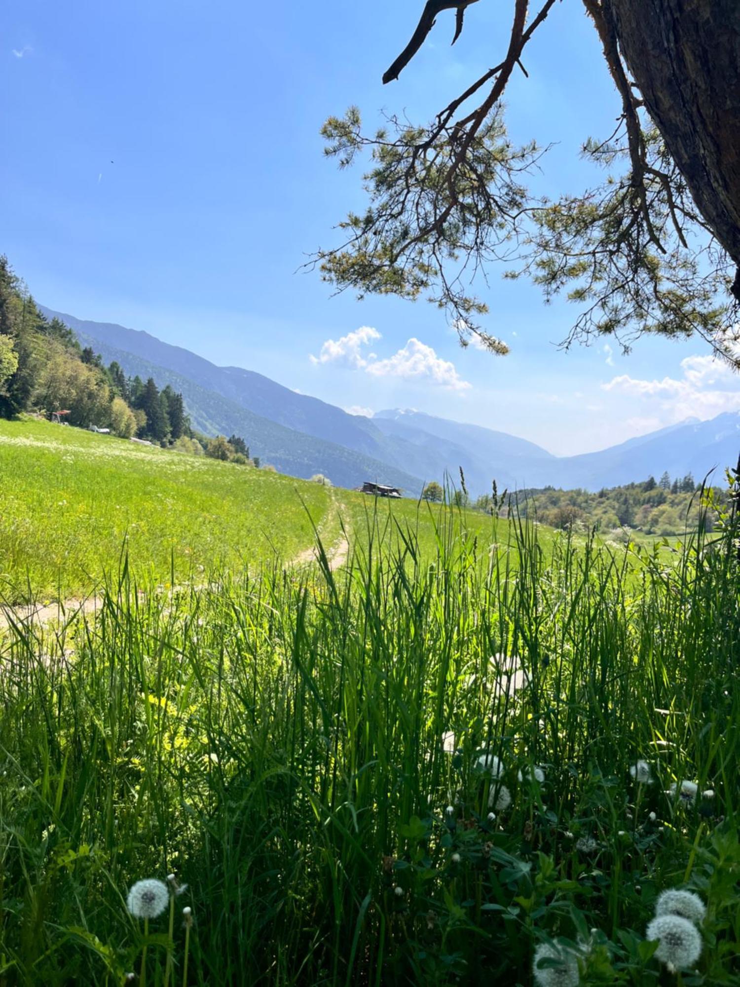 Appartamento Ciasa Erica - Val Di Non Predaia Esterno foto